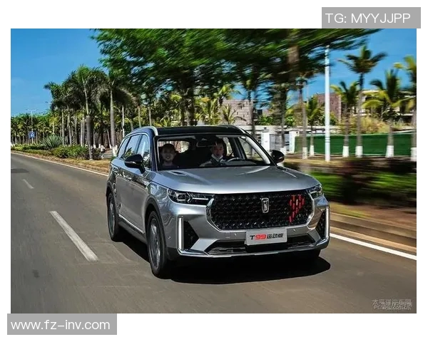 全球挑战赛中V5实力表现分析与评价探讨